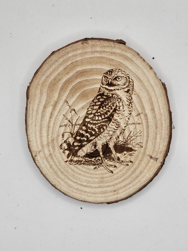 Wooden Coasters - Bird Designs - Image 21