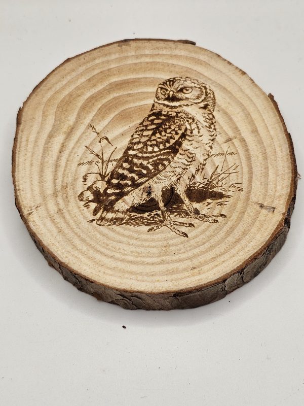 Wooden Coasters - Bird Designs - Image 22