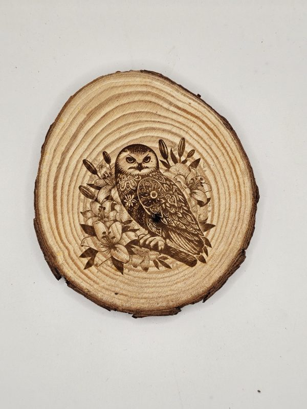 Wooden Coasters - Bird Designs - Image 18